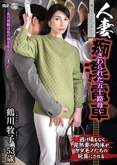 人妻痴漢電車～さわられた五十路母～ 鶴川牧子