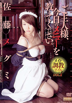 メイド調教ファイル