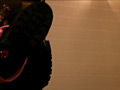 Digest Image 5