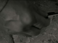 画像0085