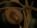 Digest Image 17