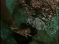 Digest Image 48