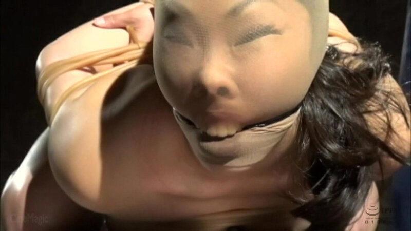 強欲女高級官僚懲罰破壊 エッセンシャルベスト 画像7