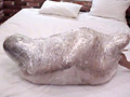 [cocoa-0099] Mummification ver.002