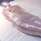 Mummification ver.006