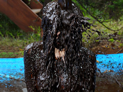Thumbnail of post image 042