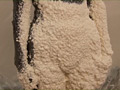 [cocoa-0163] Urethane Foamのキャプチャ画像 7