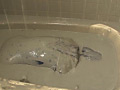 [cocoa-0189] Mud Shower01のキャプチャ画像 4