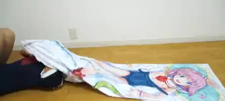僕の抱き枕にリアル女子が入っているなんてありえない。シリーズ作品: 抱き枕に女子が入っているなんてありえない。 高沢沙耶