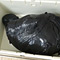 Mummification ver.023