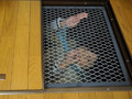[cocoa-0308] JK床下水中監禁のキャプチャ画像 5
