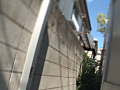 画像0066