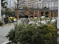 画像0059