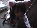 画像0121