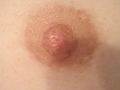 乳首名人2のサンプル画像14