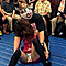 どきッ！女だらけのキャットファイト祭2007 上巻