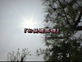 画像0133