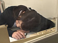 画像0145