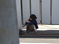 画像0055