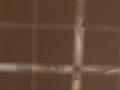 画像0140