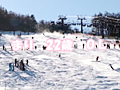 画像0075