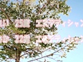 画像0106