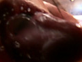 画像0057