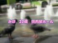 画像0109