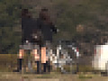 画像0469