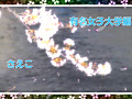 画像0216
