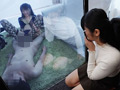 一般男女モニタリングAV 特設マジックミラー部屋でラブラブ大学生カップルが男女に別れてAV女優＆男優の凄テクイキ我慢に挑戦！！高身長スレンダー美脚痴女・木下ひまり×素人男子大学生（彼氏）／（彼女）素人女子大生×デカチン激ピストン男優 編