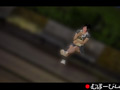 Capture-Image