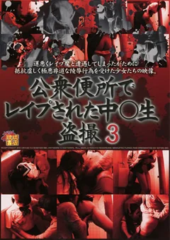 公衆便所でレイプされた中○生盗撮3