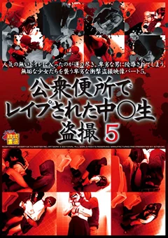 公衆便所でレイプされた中○生盗撮5