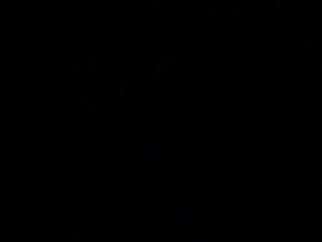 100人のまん毛 第1集