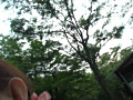 画像0082
