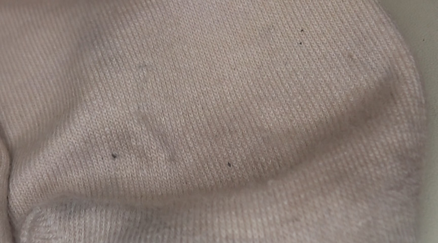 一週間履き続けた靴下とパンツ