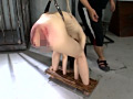 画像0066