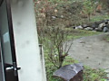 画像0031