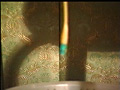 巨匠 志摩紫光伝説 其の弐 真性調教人間標的のサンプル画像30