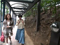 Digest Image 11