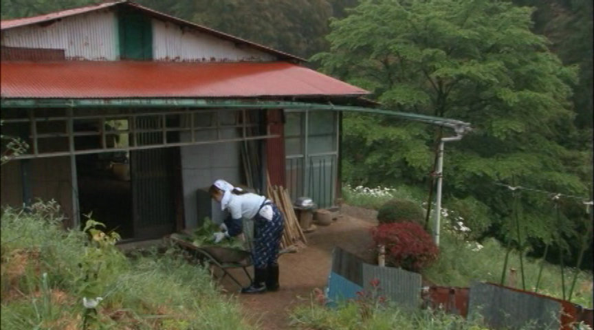 しのび逢瀬 崩れ堕ちる背徳の肉体 翔田千里