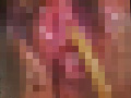巨匠 志摩紫光伝説 其の六 餌食の女たち 針と尿のサンプル画像38