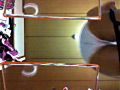 画像0219