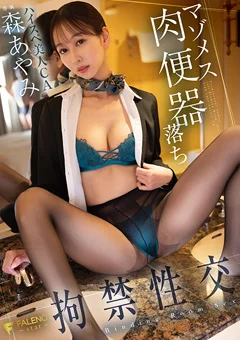 マゾメス肉便器落ち拘禁性交 ハイスペ美人CA 森あやみ