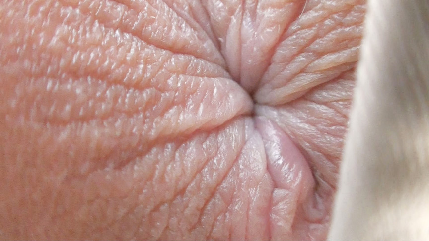 ヒクヒクアナルマニア 見ながらオナサポされたい 画像10