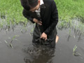 Capture-Image