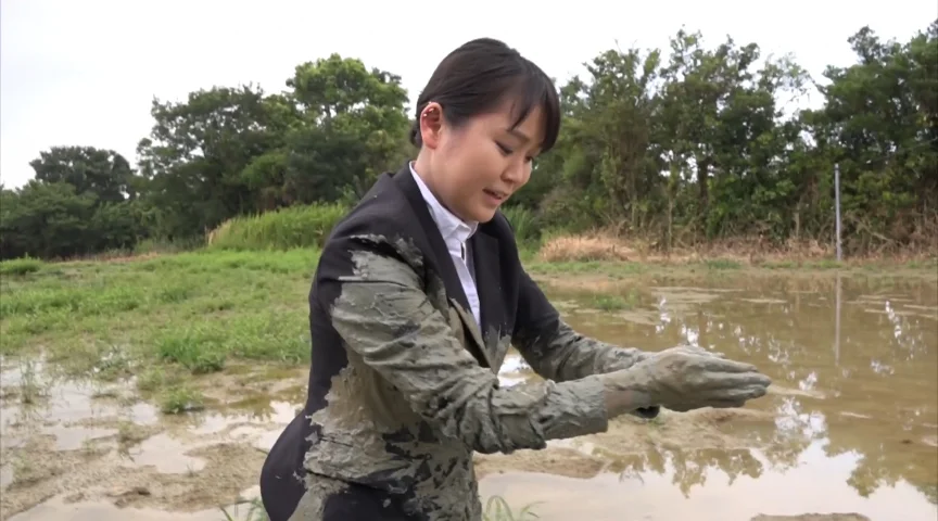 泥まみれの卒業研究