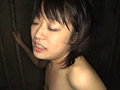 画像0052