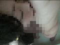 画像0072